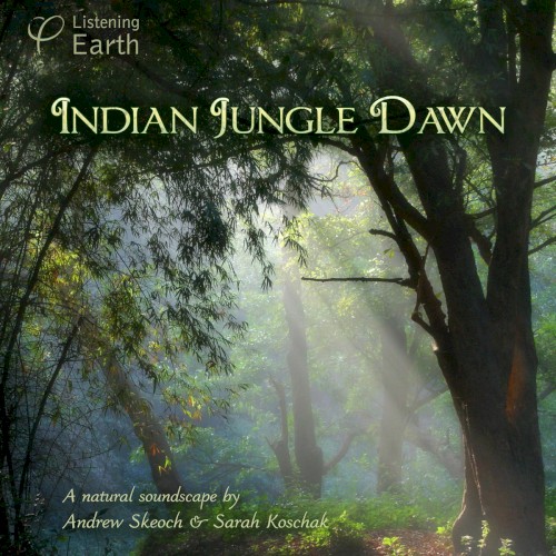 Indian Jungle Dawn