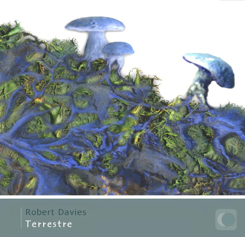 Terrestre