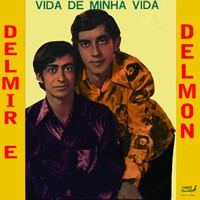 Vida de minha vida