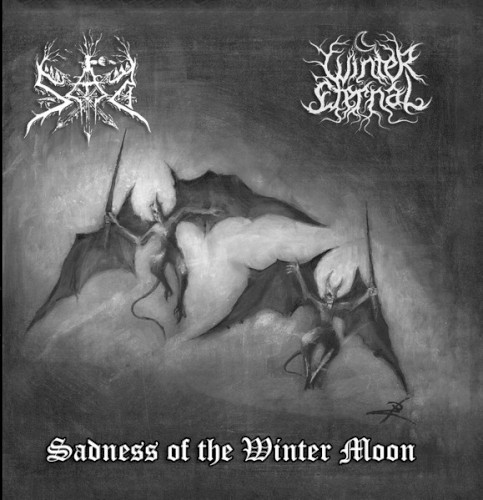Sadness of the Winter Moon