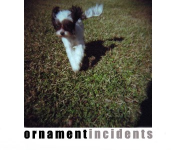 Incidents