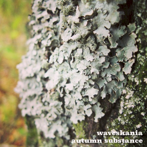 Autumn Substance