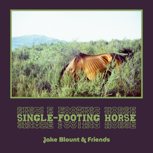 Single-Footing Horse