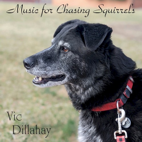 Music for Chasing Squirrels