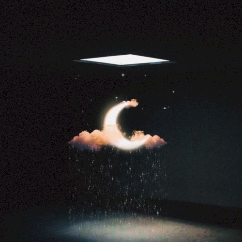 Goals Over Dreams