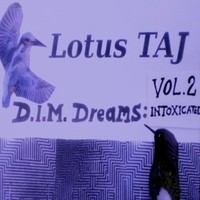 D.I.M. Dreams: Intoxicated Vol. 2