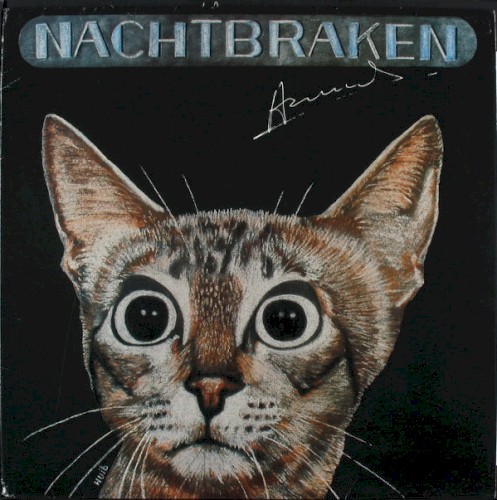 Nachtbraken