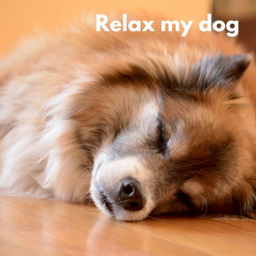 Dog Chill (Loopable, No Fade)