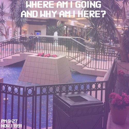 Where Am I Going and Why Am I Here?