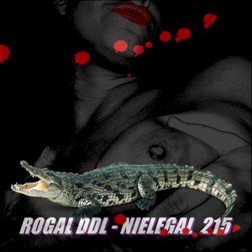 Nielegal 215