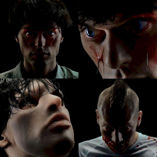 Live.Survive.Die (LSD)