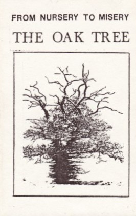 The Oak Tree