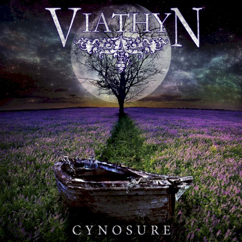 Cynosure