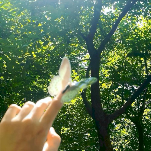 butterfly effect