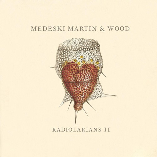 Radiolarians II