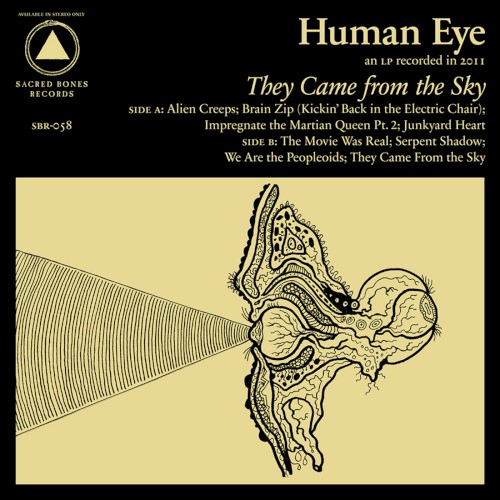They Came From the Sky