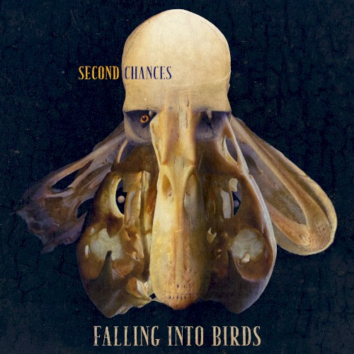 Second Chances