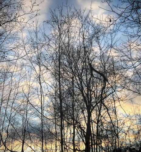 Distance of Light