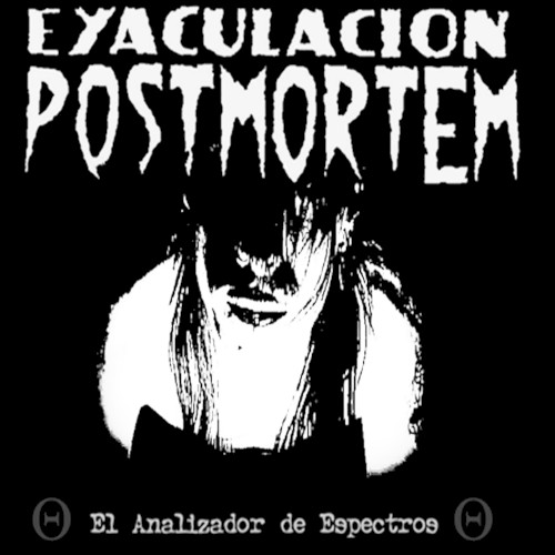 El Analizador de Espectros