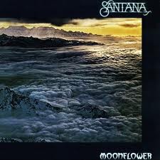 Moonflower