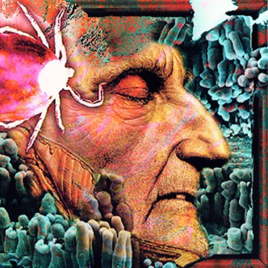 Fragment 56