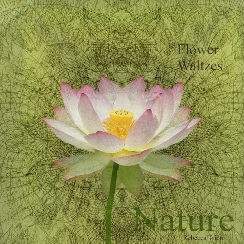 Flower Waltzes: Nature