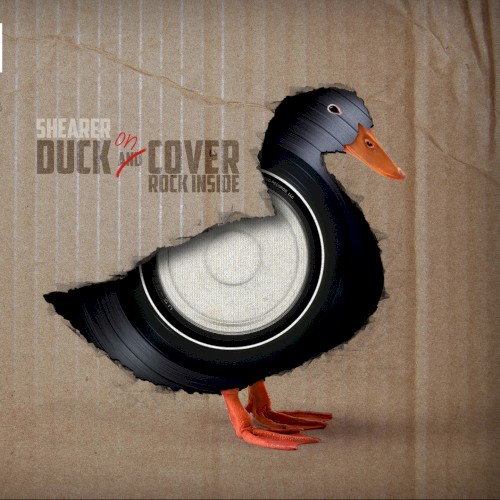 Duck on Cover