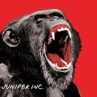 Juniper Inc.