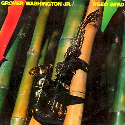 Reed Seed