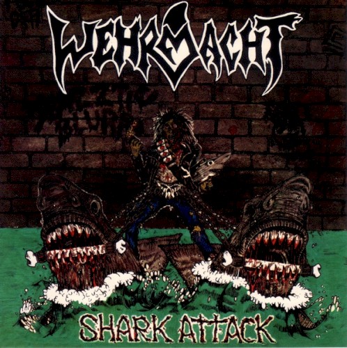 Shark Attack