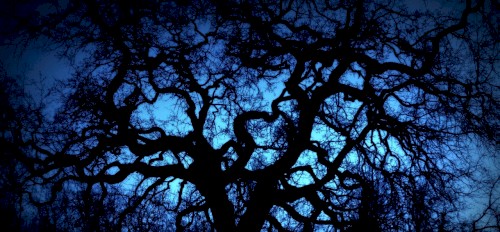 Astral Cult