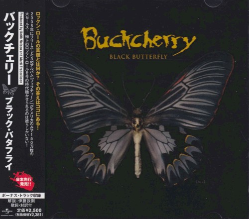 Black Butterfly