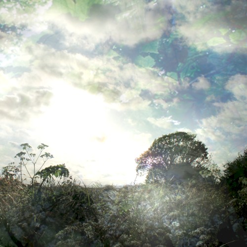 Spring Light