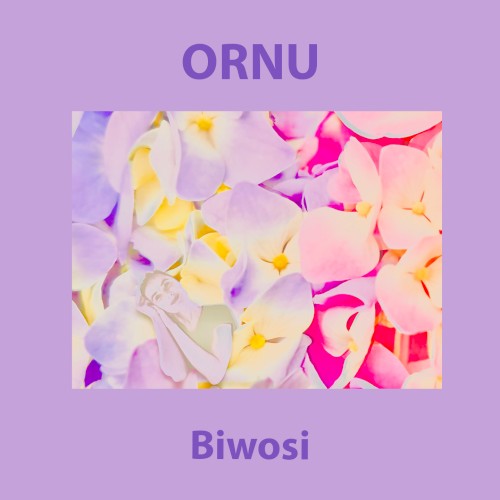 Biwosi