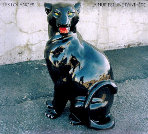 La nuit est une panthère