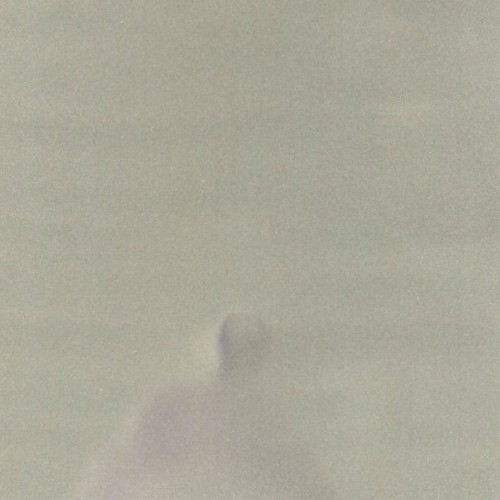 樹海の中で