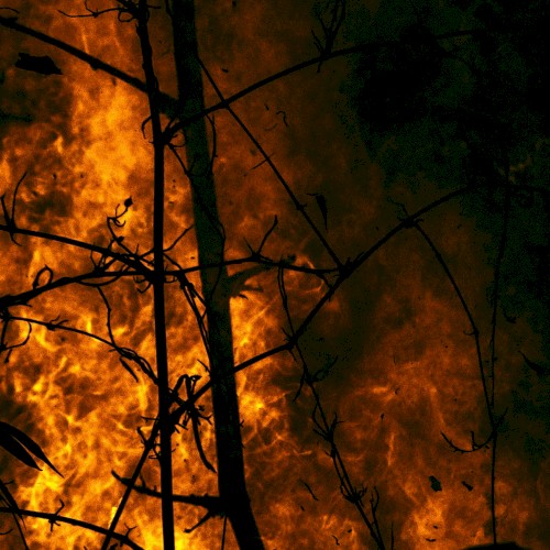 Natural Death (Fire)