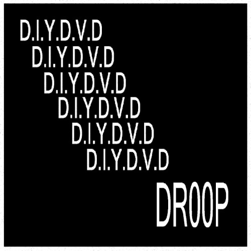 D.I.Y.D.V.D.