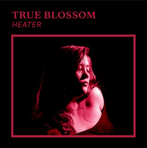 Heater