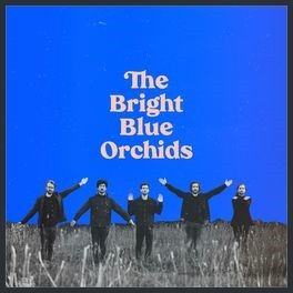 The Bright Blue Orchids