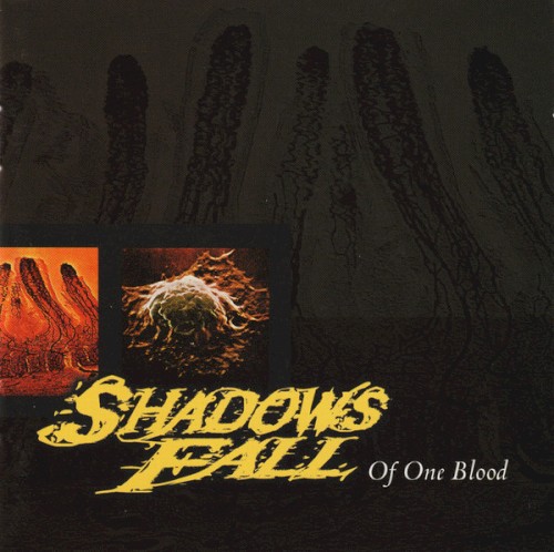 Of One Blood