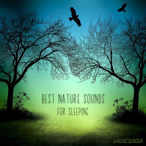 Best Nature Sounds for Sleeping