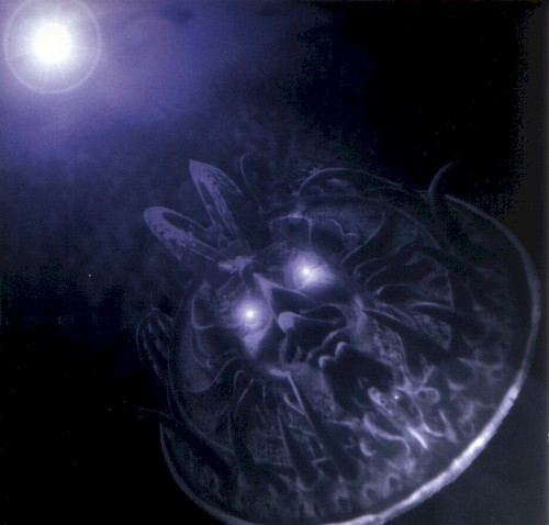 Amada
