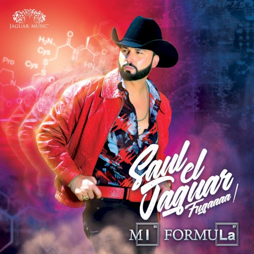 Mi fórmula