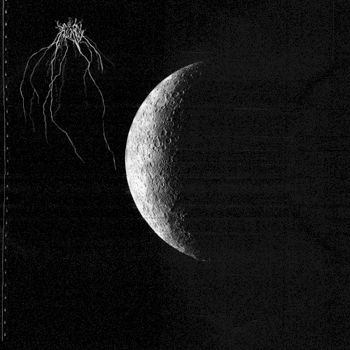 Void Acoustics II