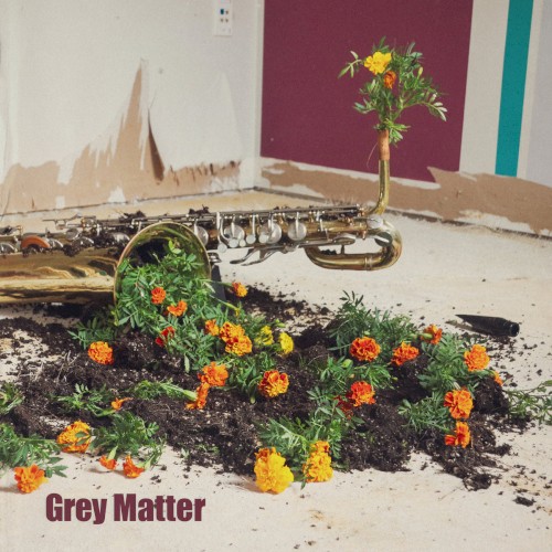 Grey Matter