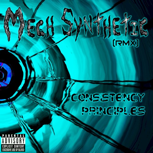 Consistency Principles