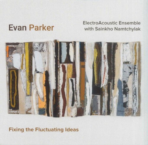 Fixing the Fluctuating Ideas