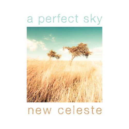 A Perfect Sky