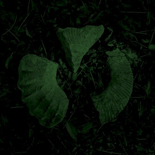 Aura Fossil
